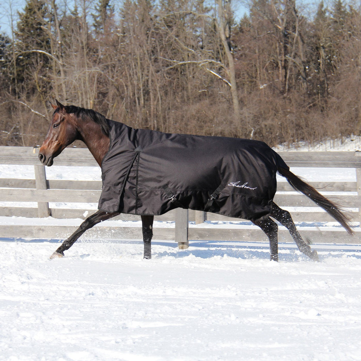 Shedrow Comfort Neck Turnout Blanket 300 g