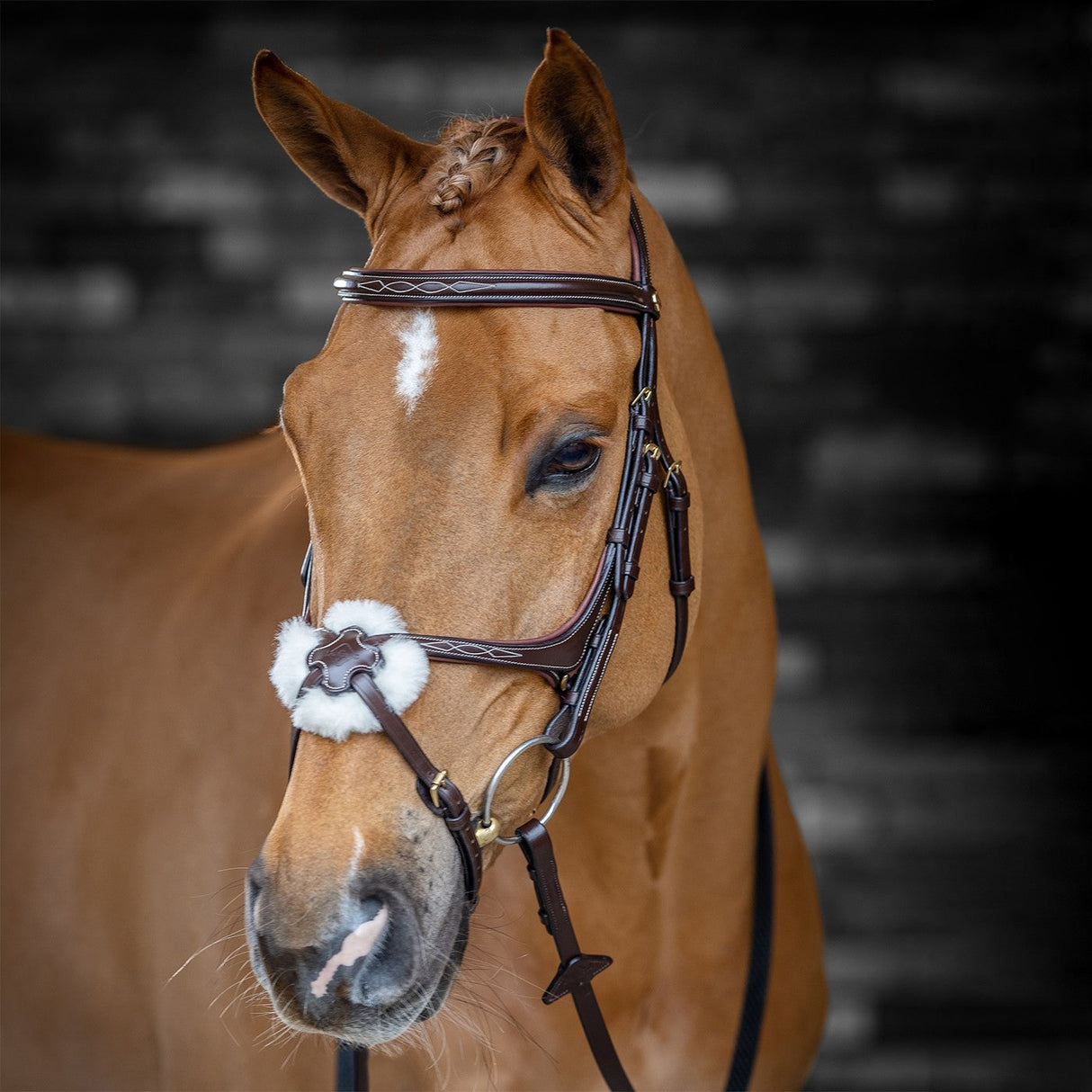 LeMieux Kudos Grackle Bridle