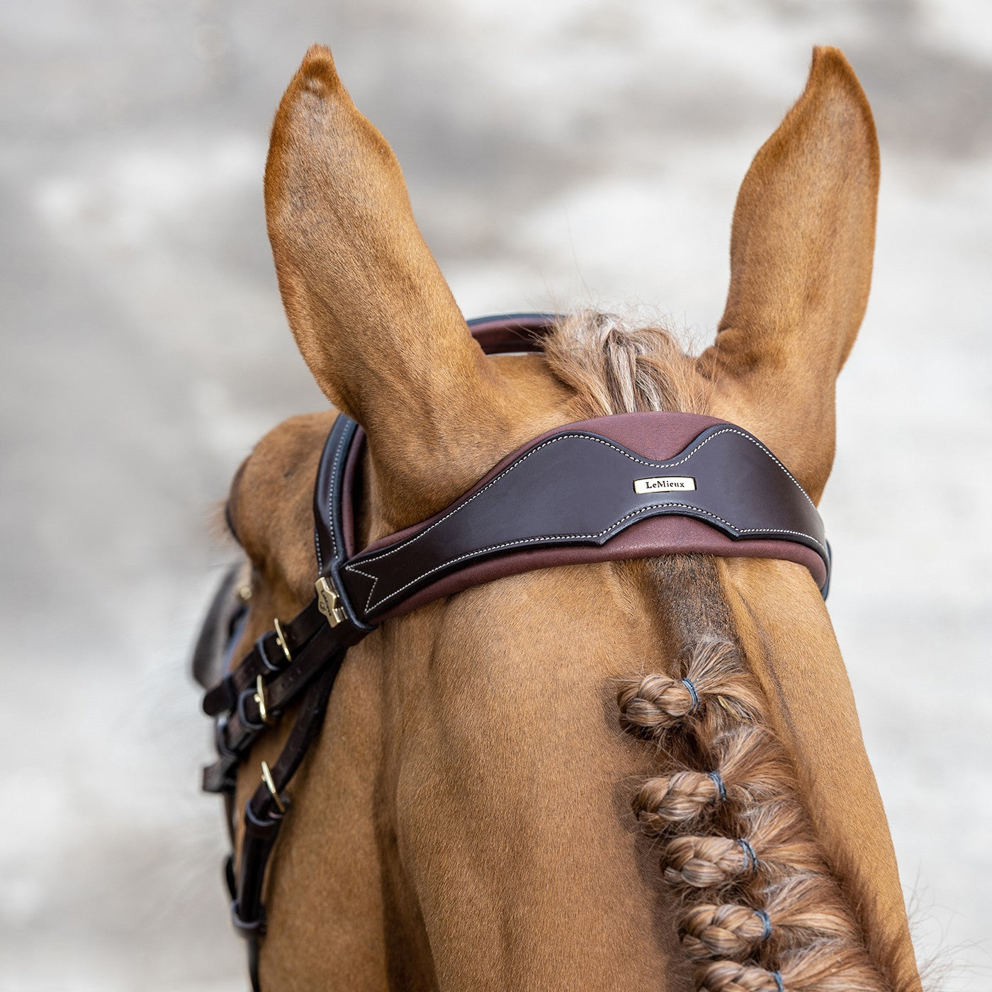 LeMieux Kudos Competition Flash Bridle