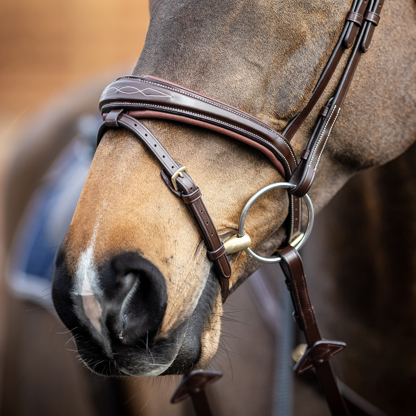 LeMieux Kudos Competition Flash Bridle