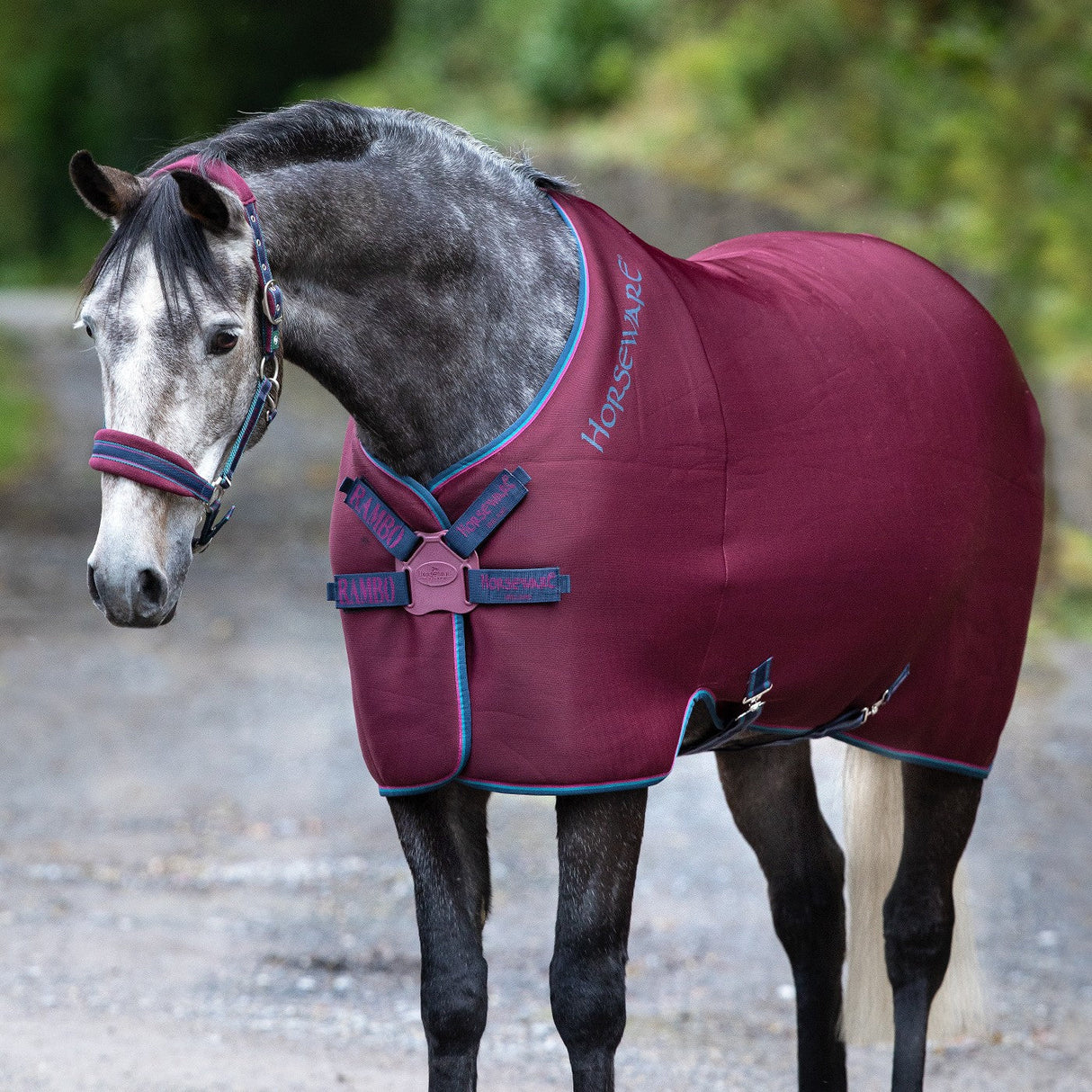 Rambo Airmax Cooler W/ Disc Front Closure