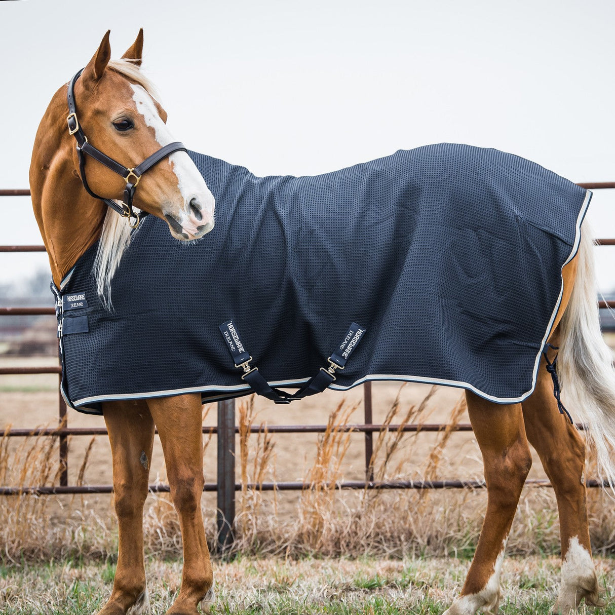 Rambo Techni Waffle Cooler