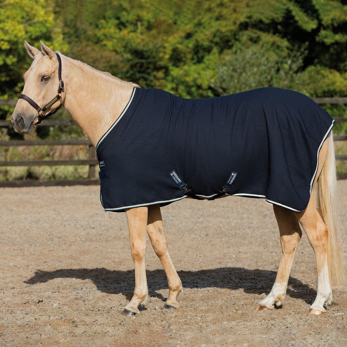 Rambo Techni Waffle Cooler