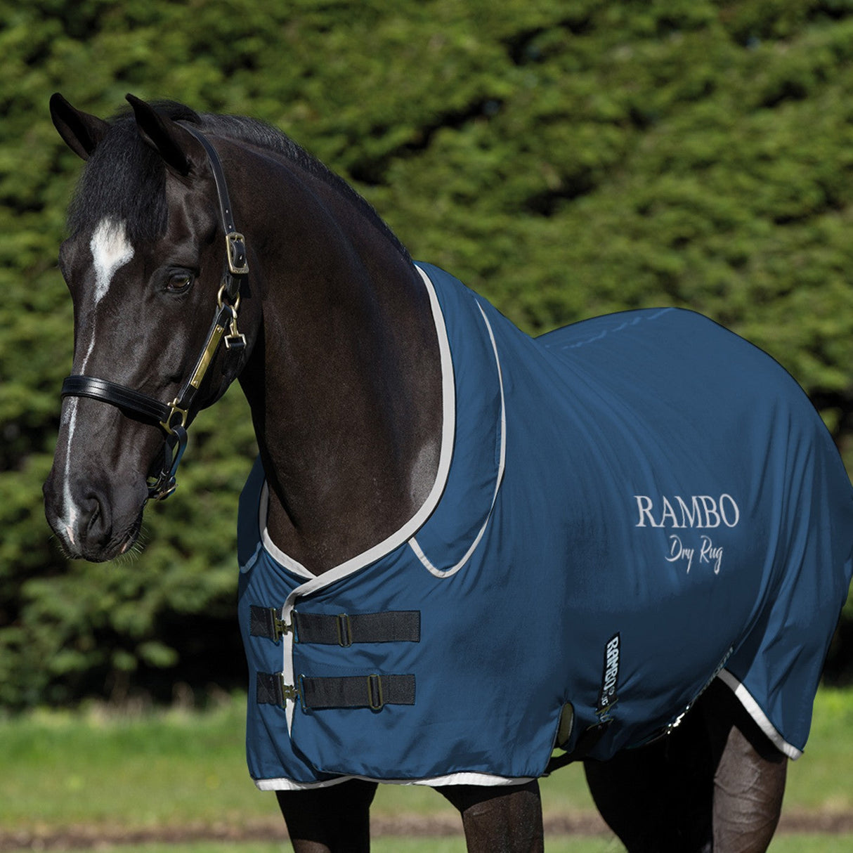 Rambo Dry Rug Supreme