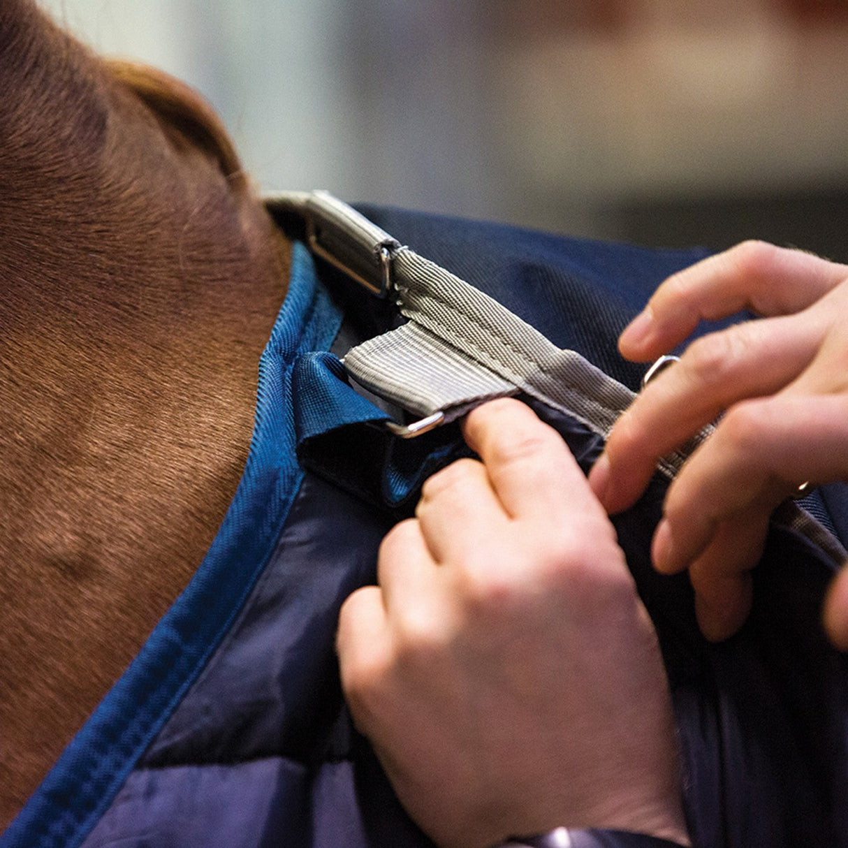 Horseware Liner 200 g