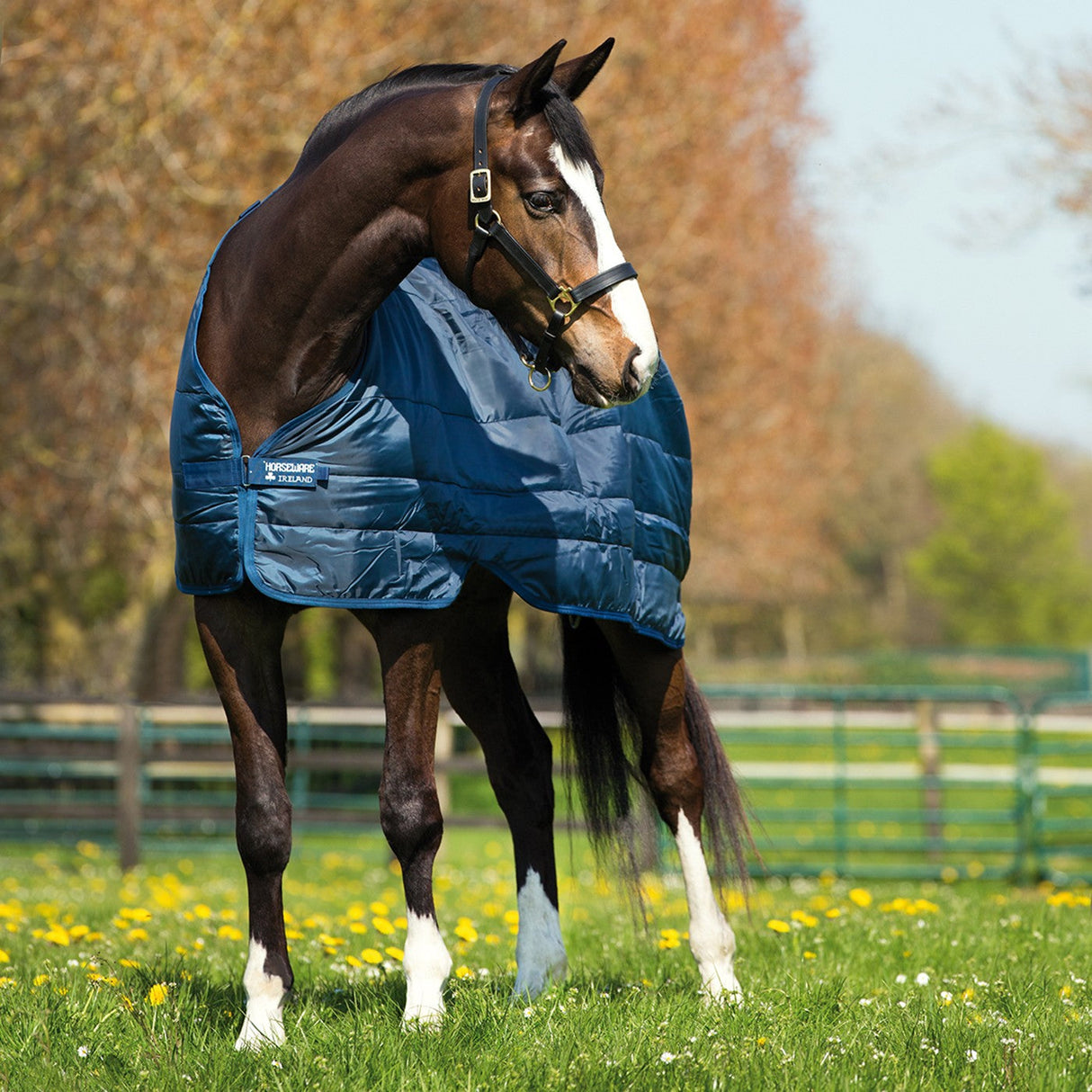 Horseware Liner 200 g