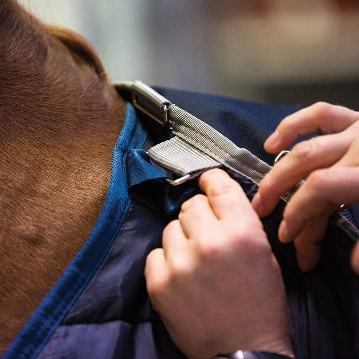 Horseware Liner 300 g