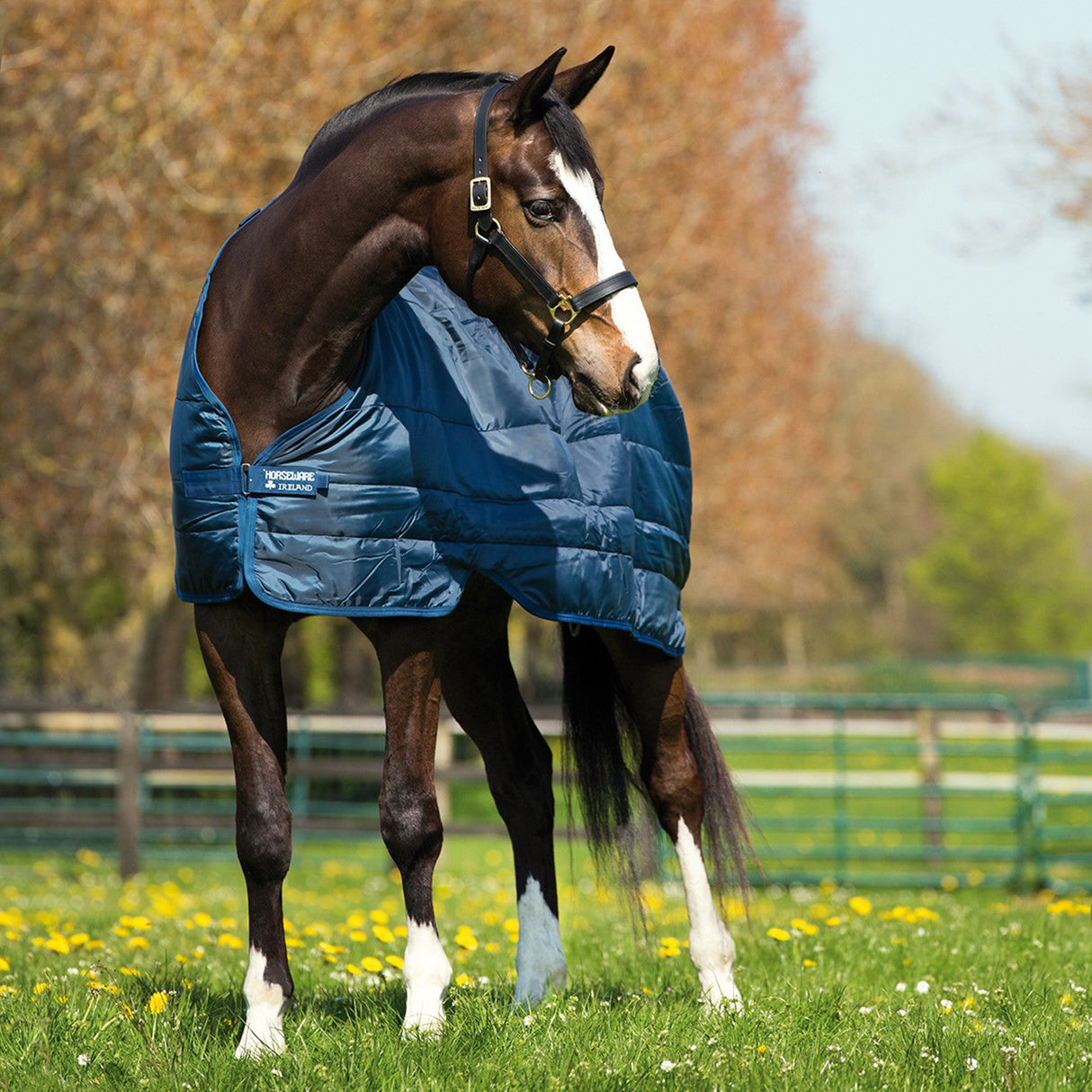 Horseware Liner 300 g