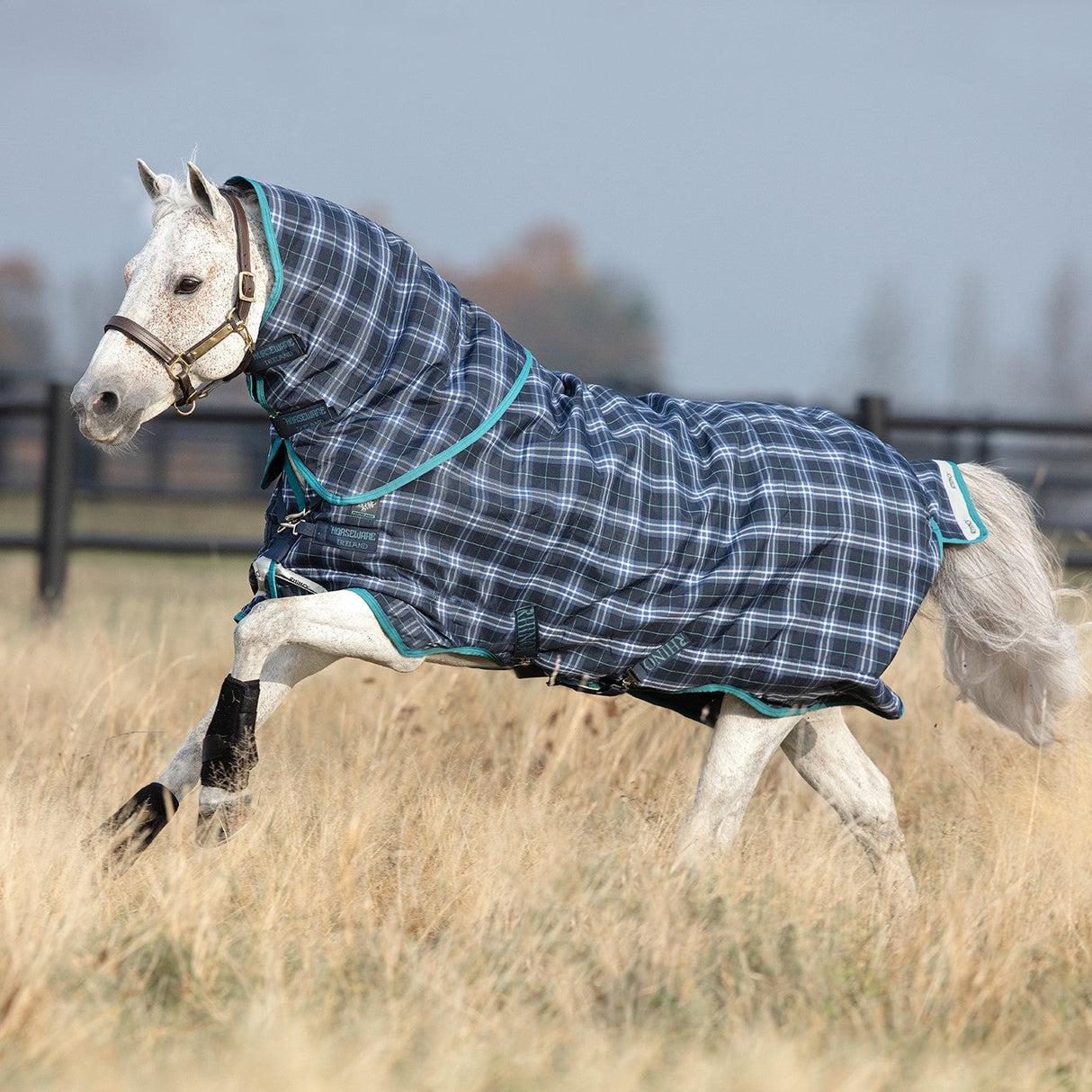 Rhino Pony Plus Medium Turnout Blanket 200 g