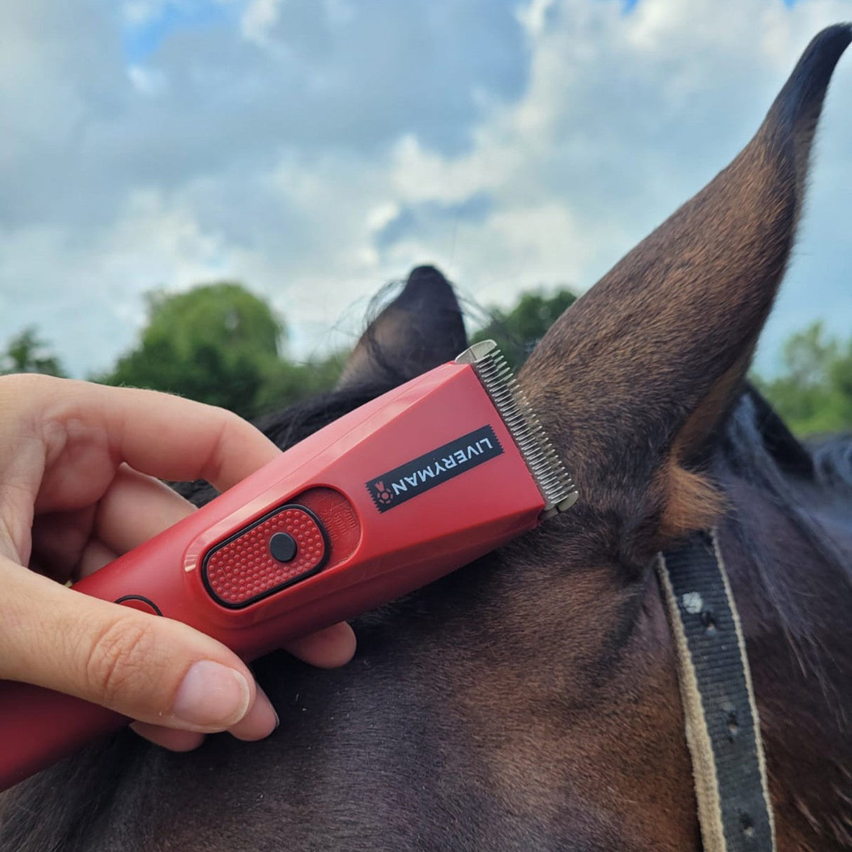 Liveryman Nova Cordless Trimmer