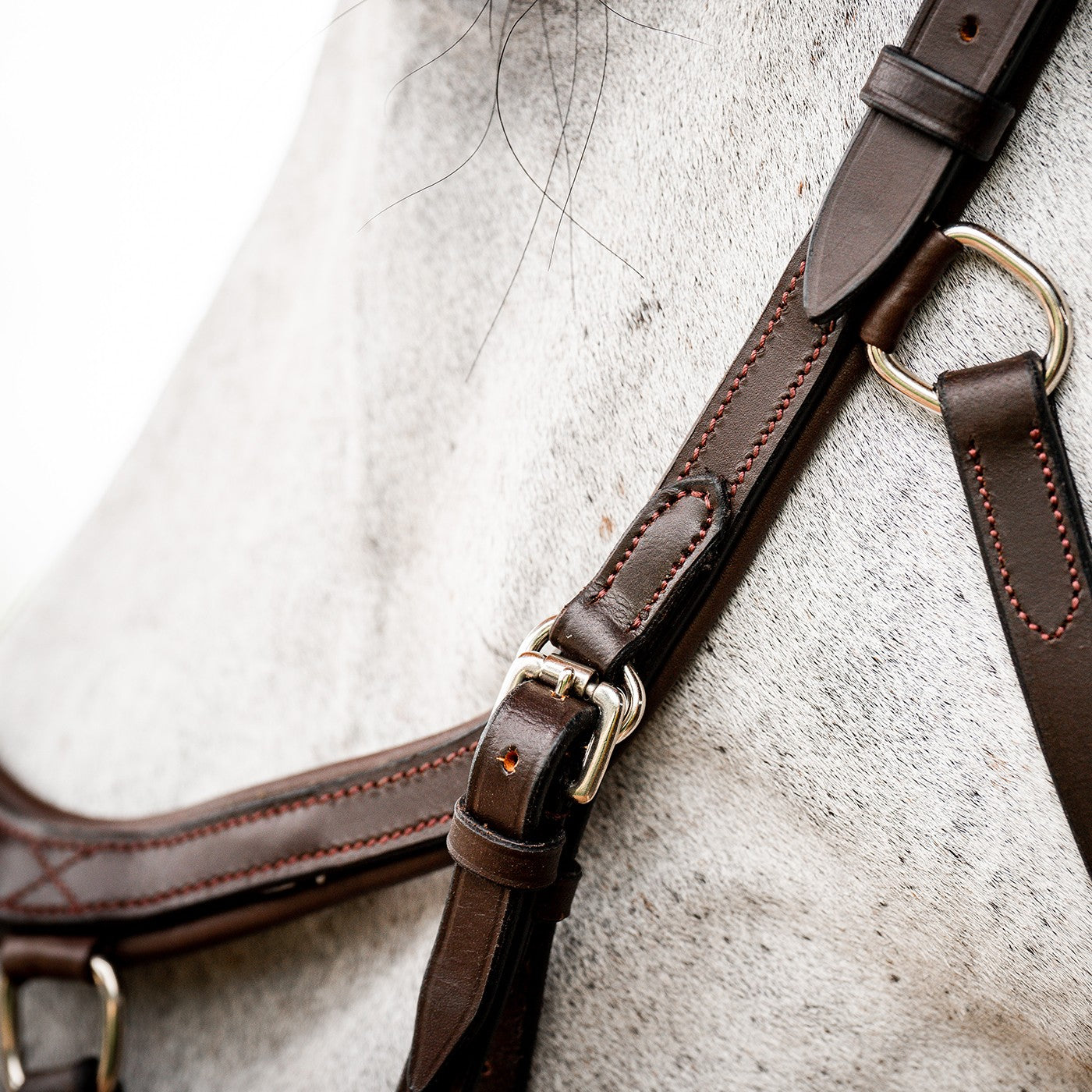 Rambo Micklem Deluxe Competition Bridle W/ Reins