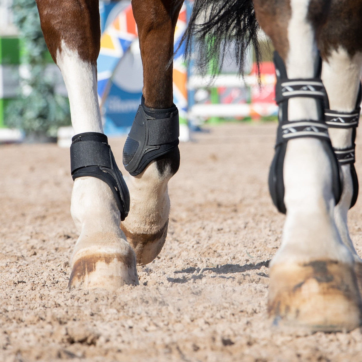 Summit Hind Fetlock Boots