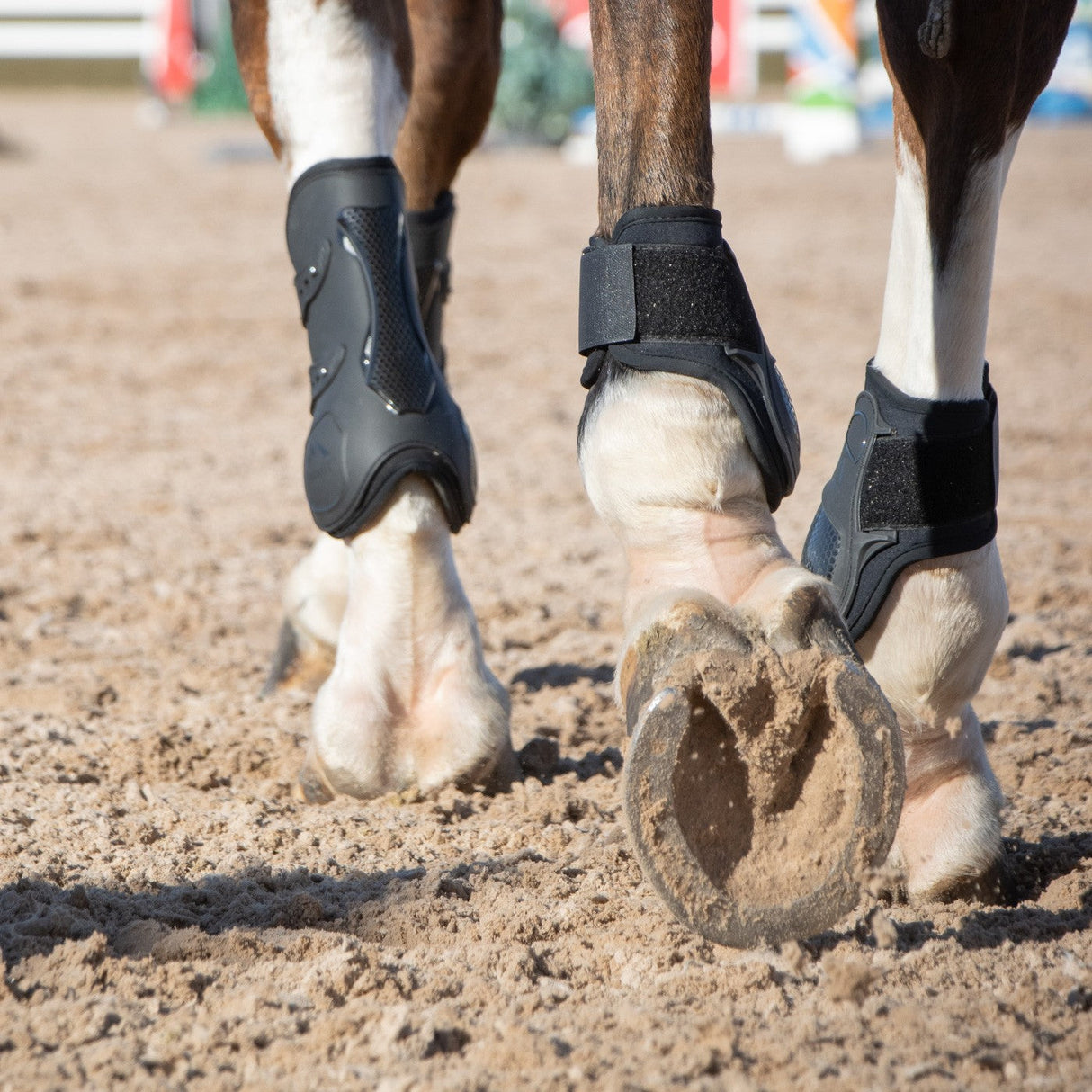 Summit Hind Fetlock Boots