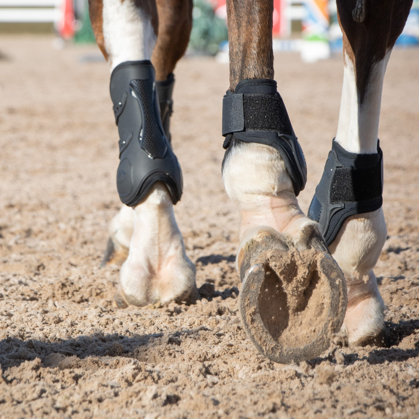 Summit Hind Fetlock Boots