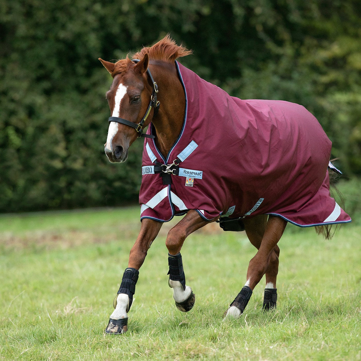 Rambo Wug Lite Turnout Blanket 50 g