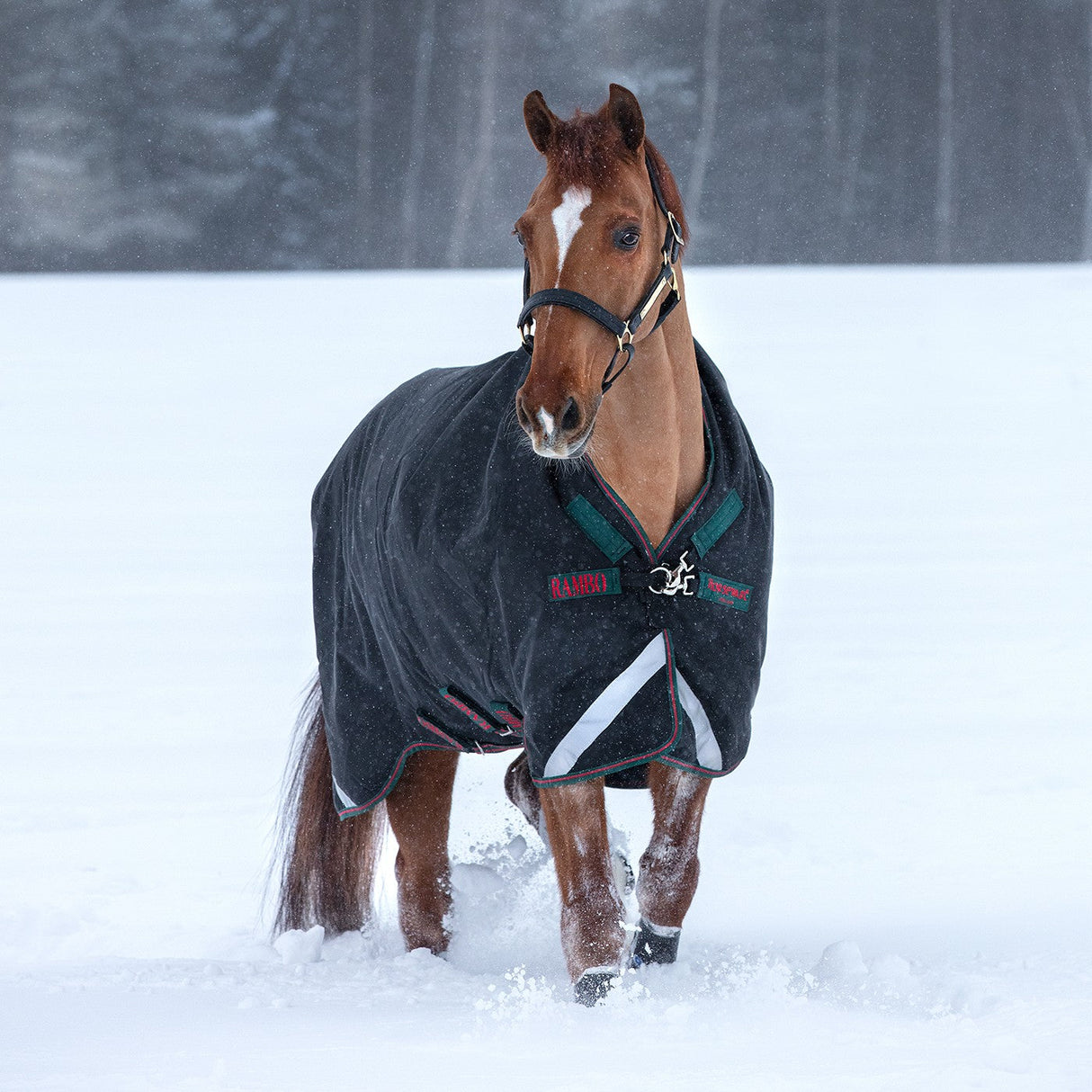 Rambo Wug Heavy Turnout Blanket 400 g