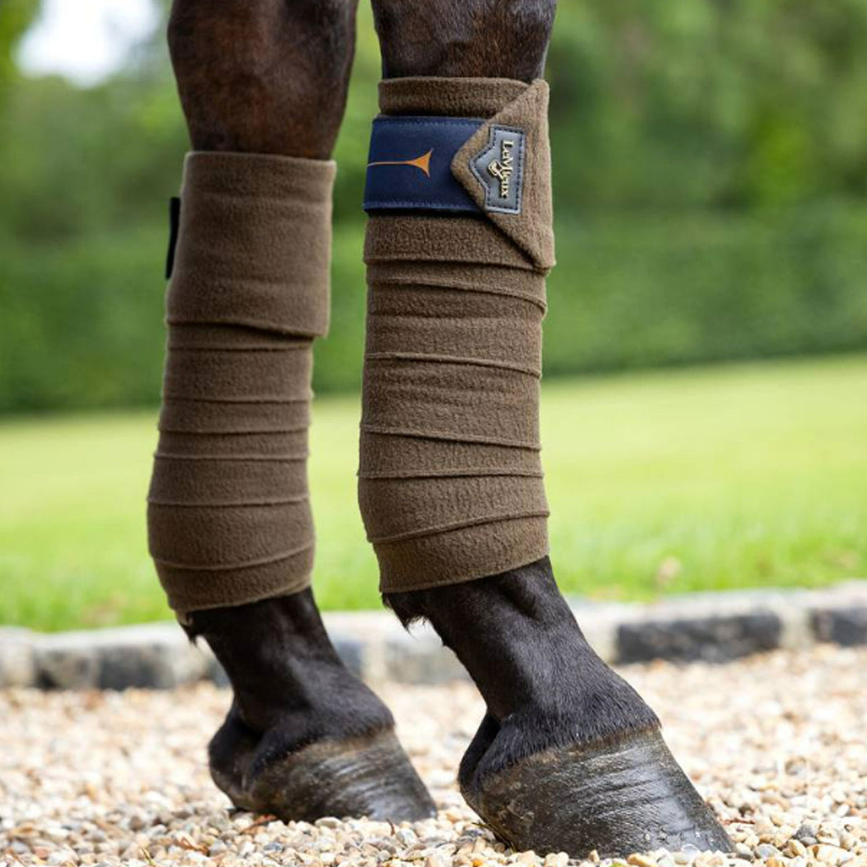 LeMieux Loire Polo Wraps