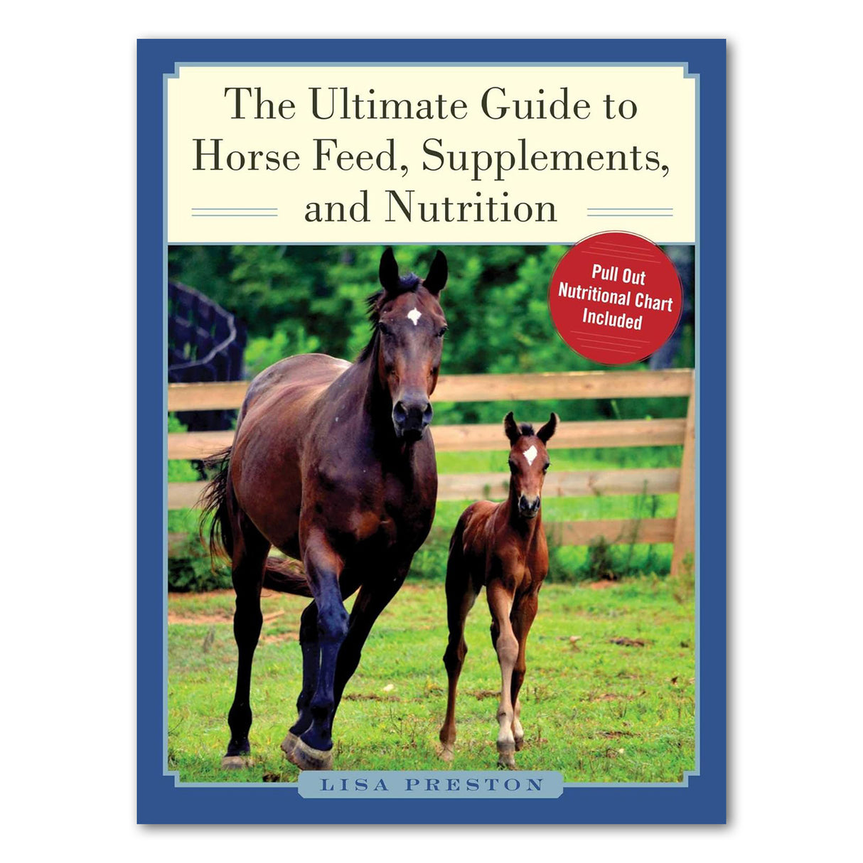 The Ultimate Guide To Horse Feed, Supplements & Nutrition