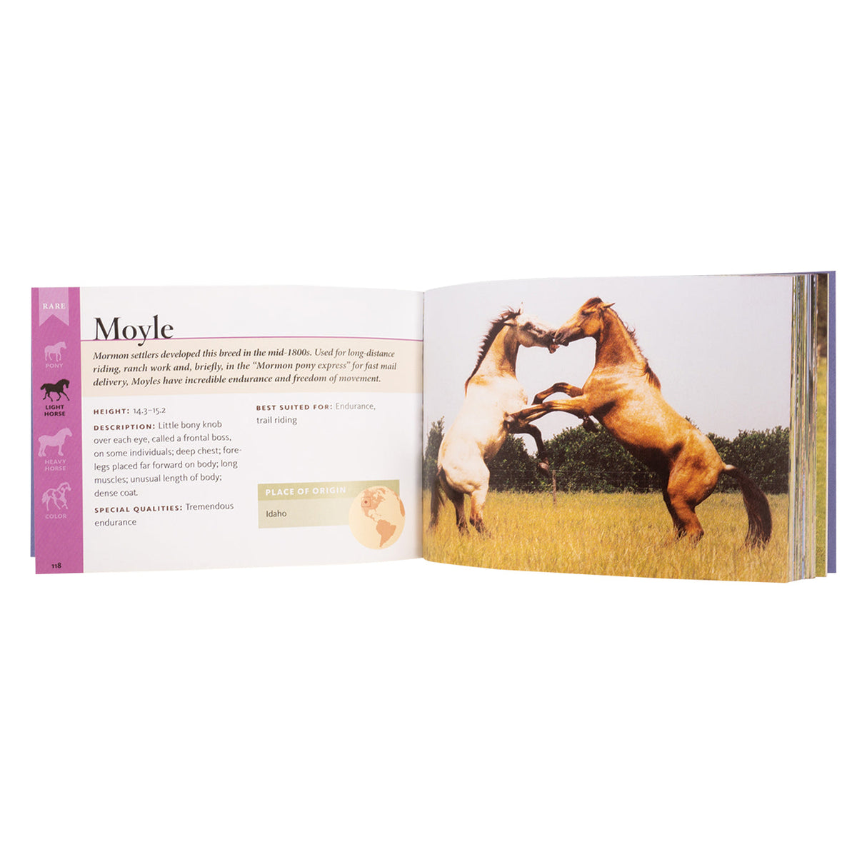 Horse Breeds of North America