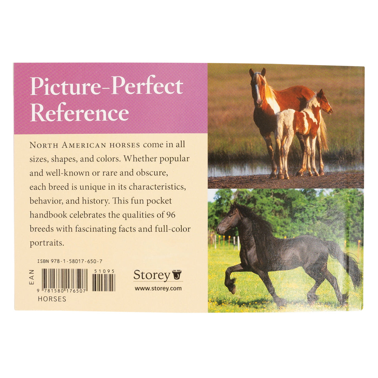 Horse Breeds of North America