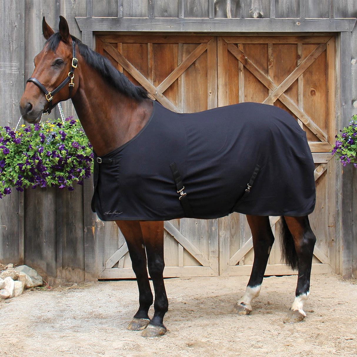 Shedrow Super Dry Cooler