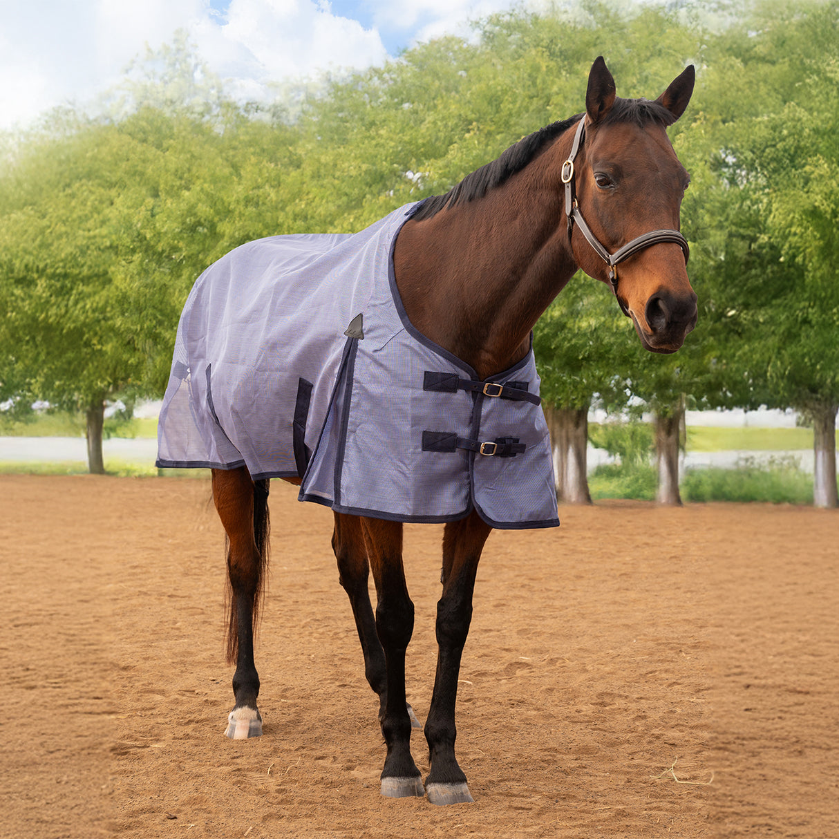 Shedrow Textilene Fly Sheet