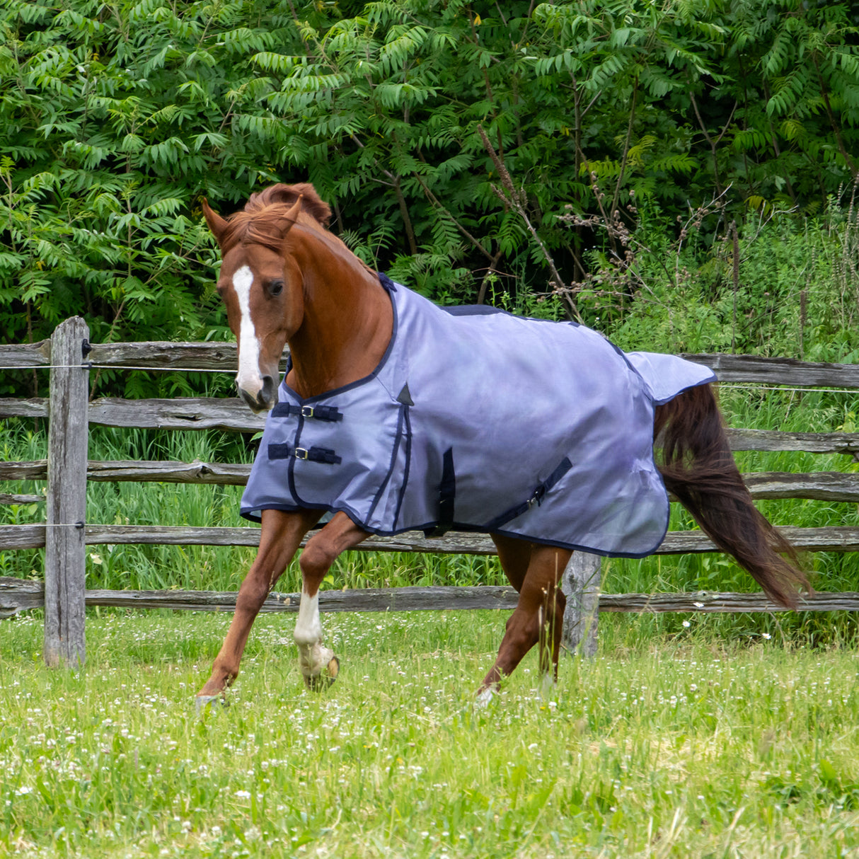 Shedrow Textilene Fly Sheet