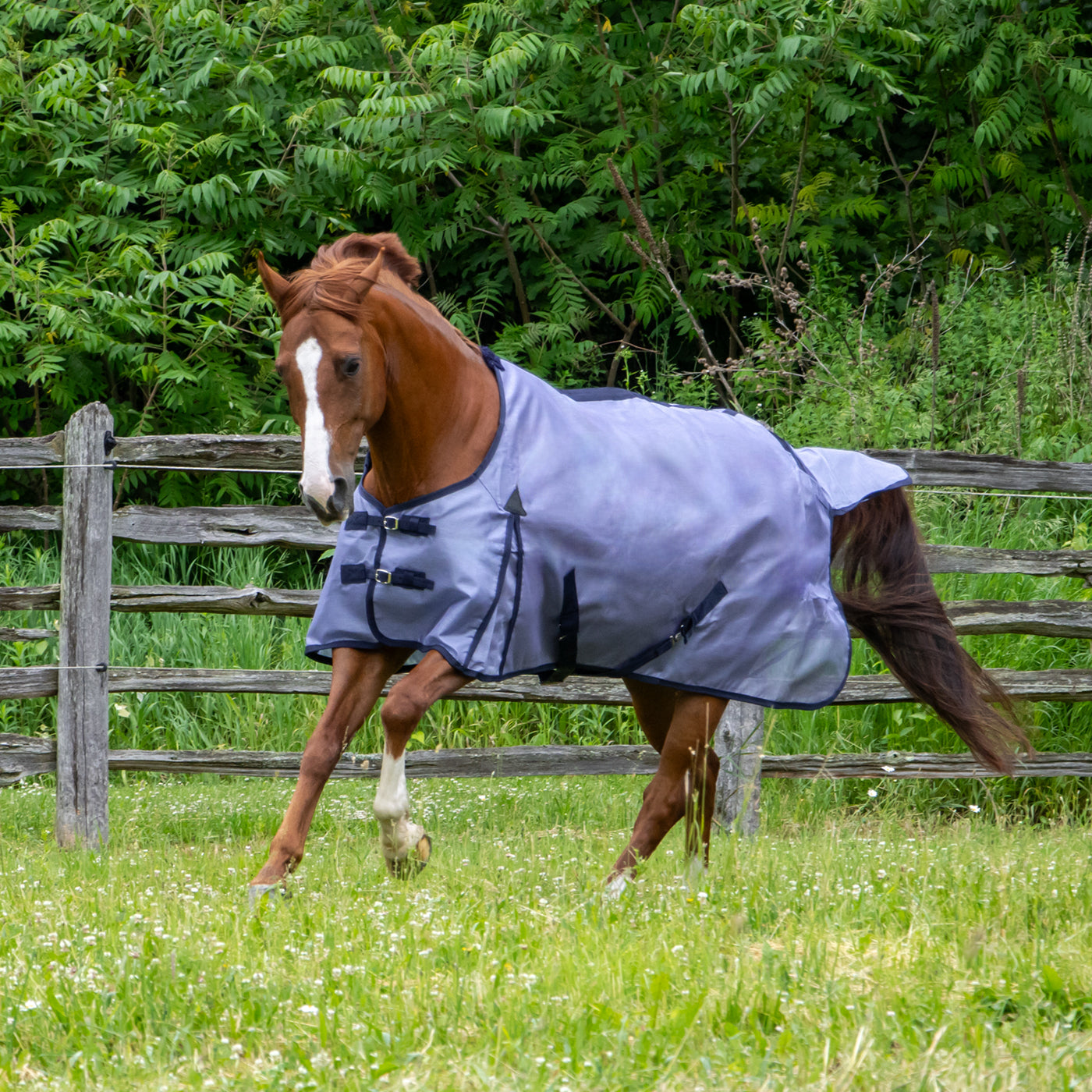 Shedrow Textilene Fly Sheet