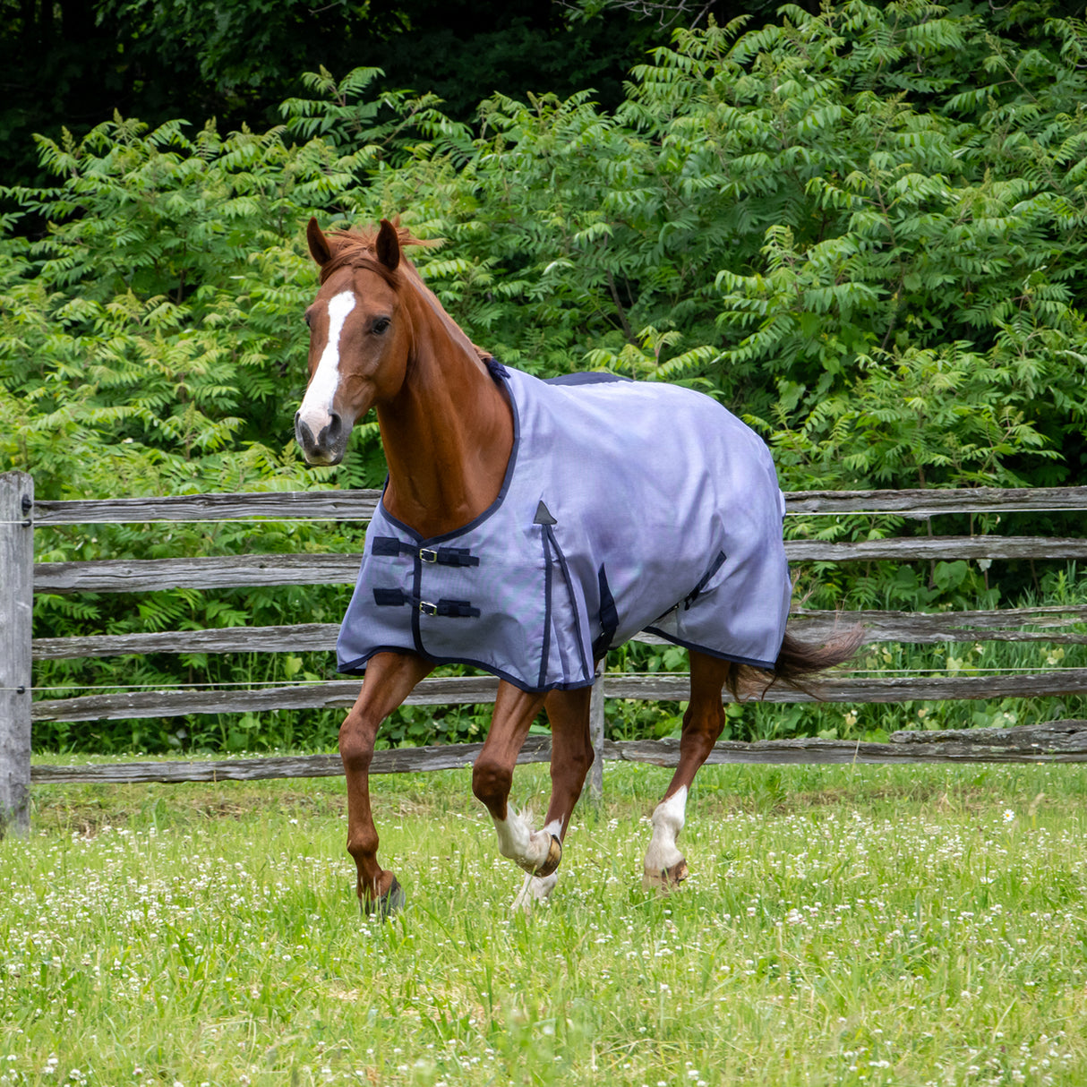 Shedrow Textilene Fly Sheet