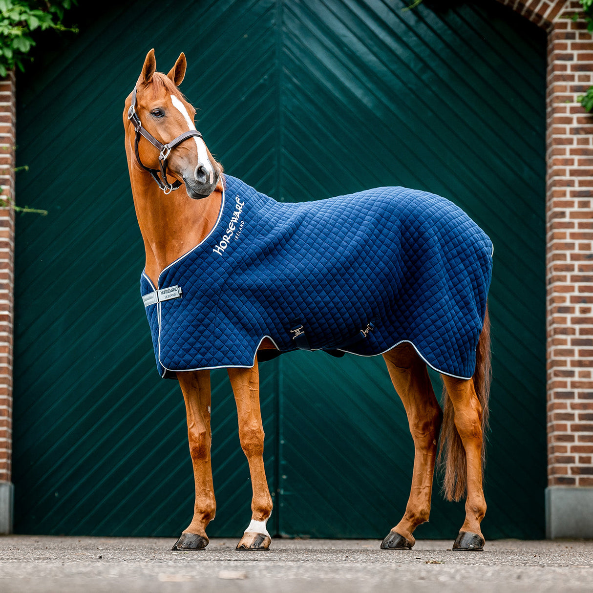 Horseware Thermal Cooler 50 g