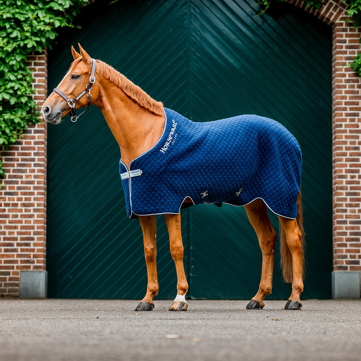 Horseware Thermal Cooler 50 g