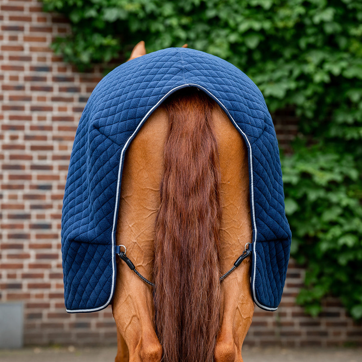 Horseware Thermal Cooler 50 g