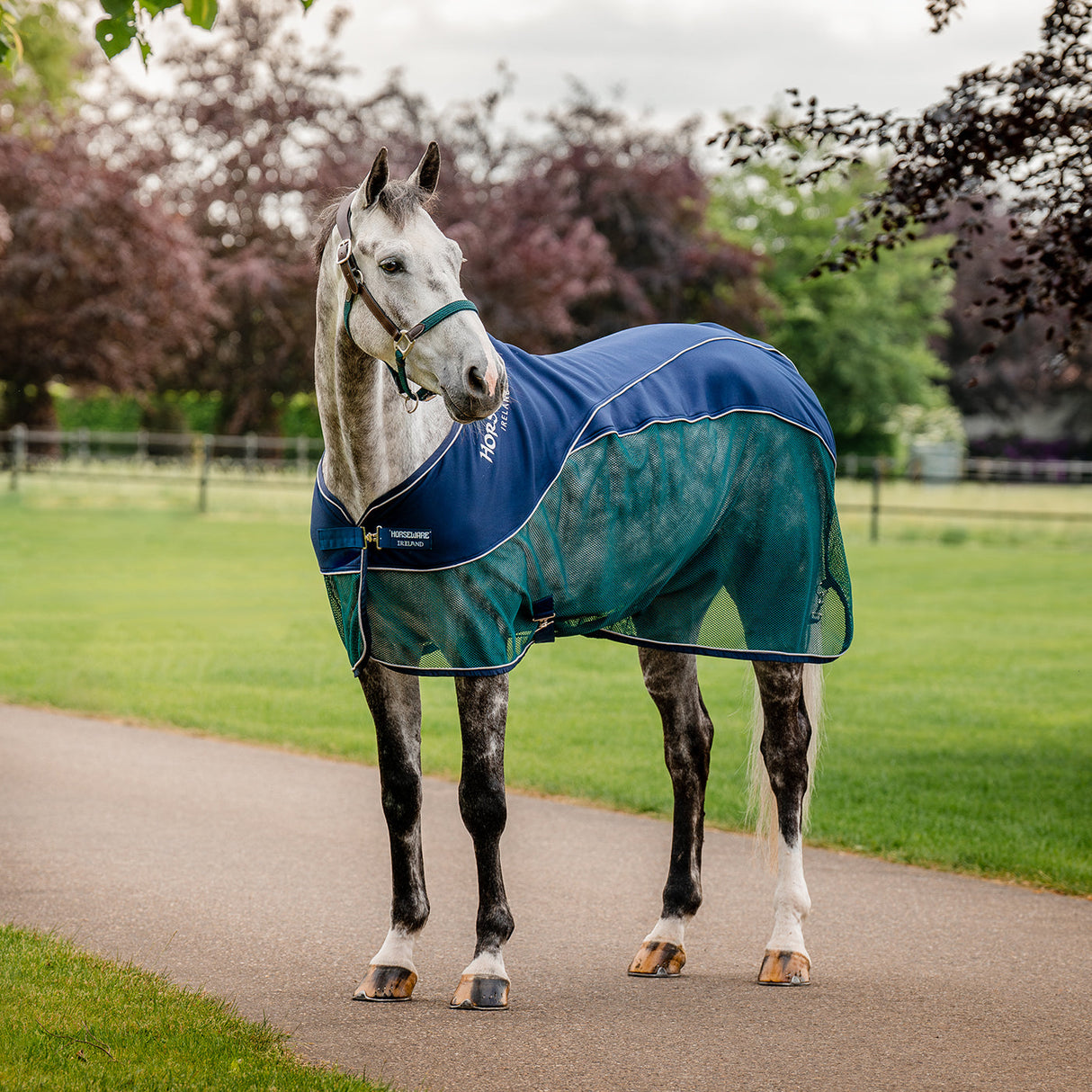 Horseware Signature Sport Cooler