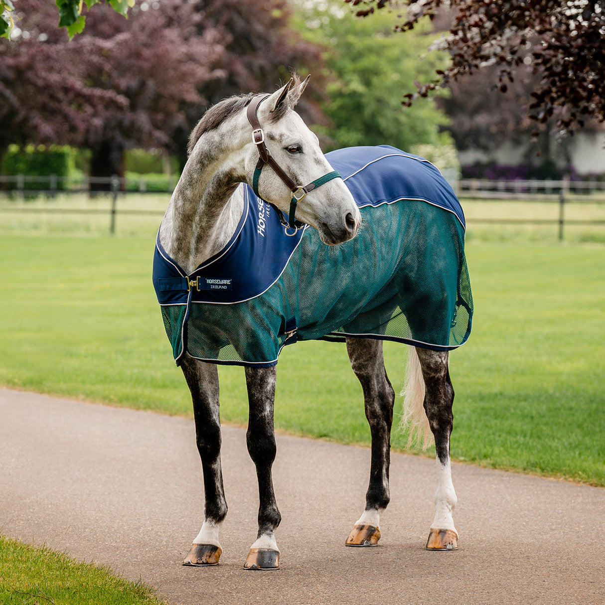 Horseware Signature Sport Cooler