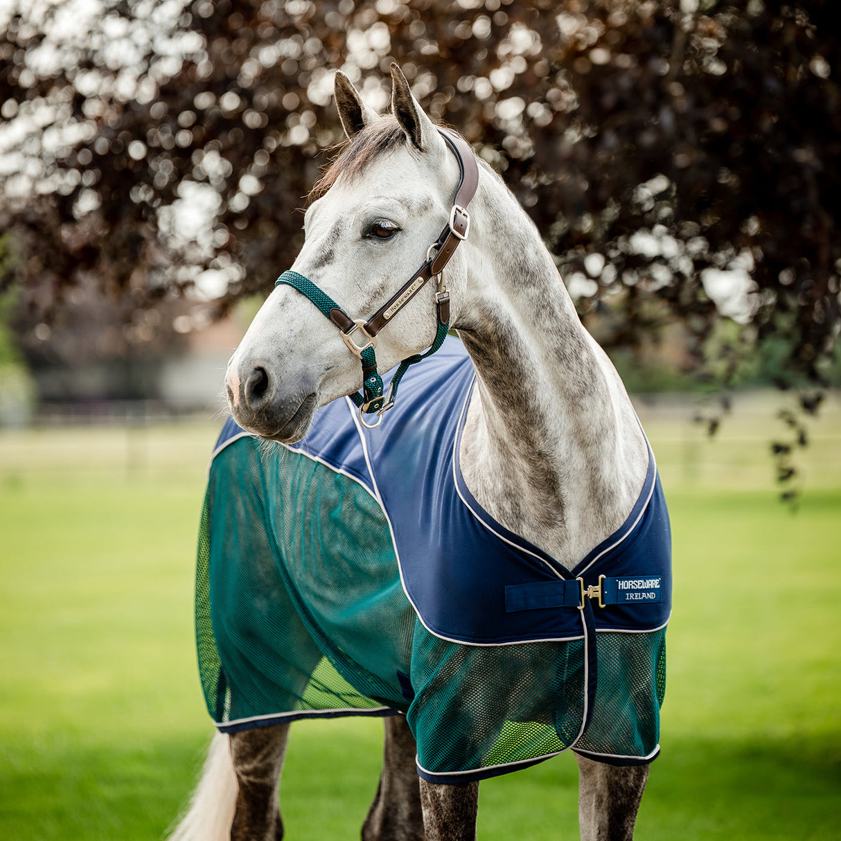 Horseware Signature Sport Cooler