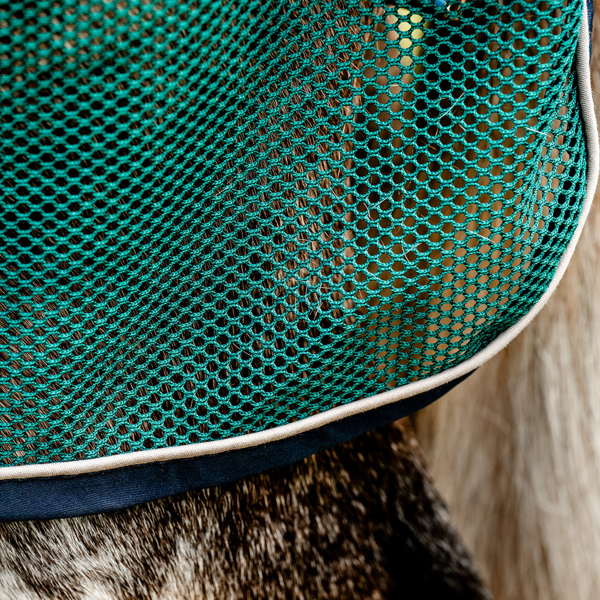 Horseware Signature Sport Cooler