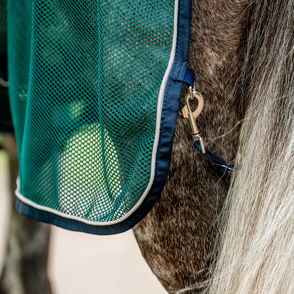 Horseware Signature Sport Cooler