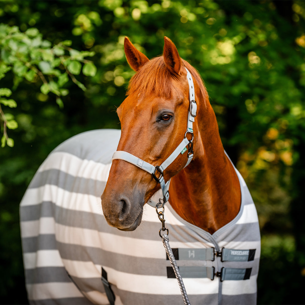 Horseware Newmarket Fleece Cooler