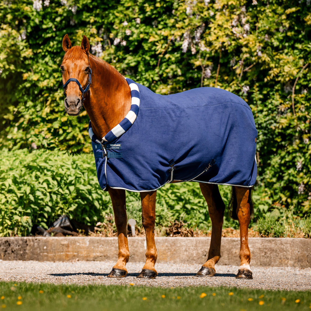 Horseware Newmarket Cozy Fleece Cooler
