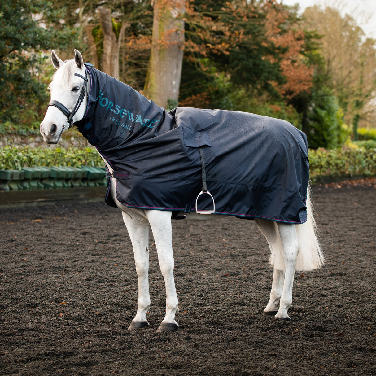 Rambo Mack in a Sack