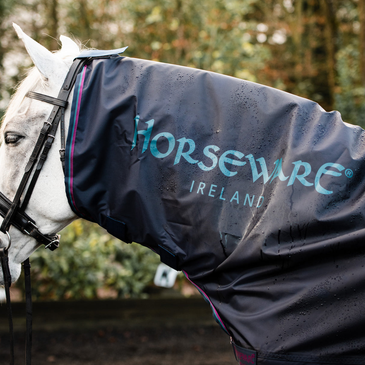 Rambo Mack in a Sack