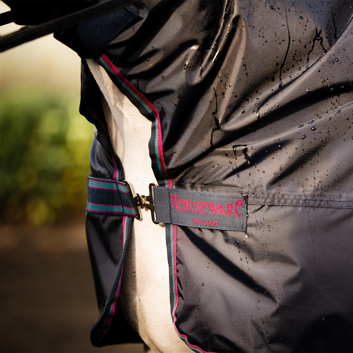 Rambo Mack in a Sack