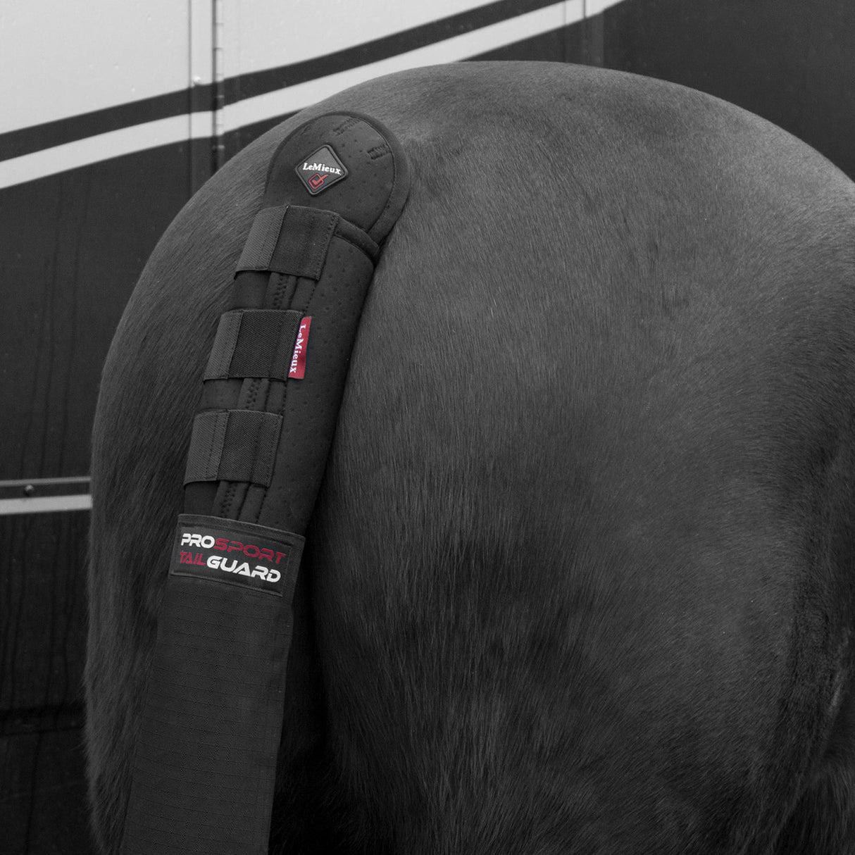 LeMieux Tail Guard W/ Bag