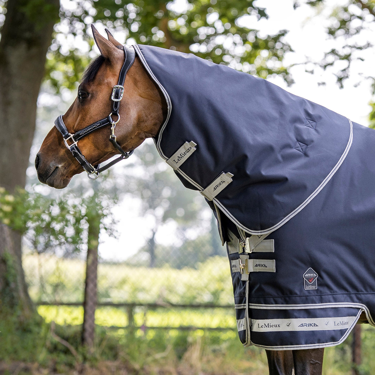 LeMieux Arika Featherweight Hood 0 g