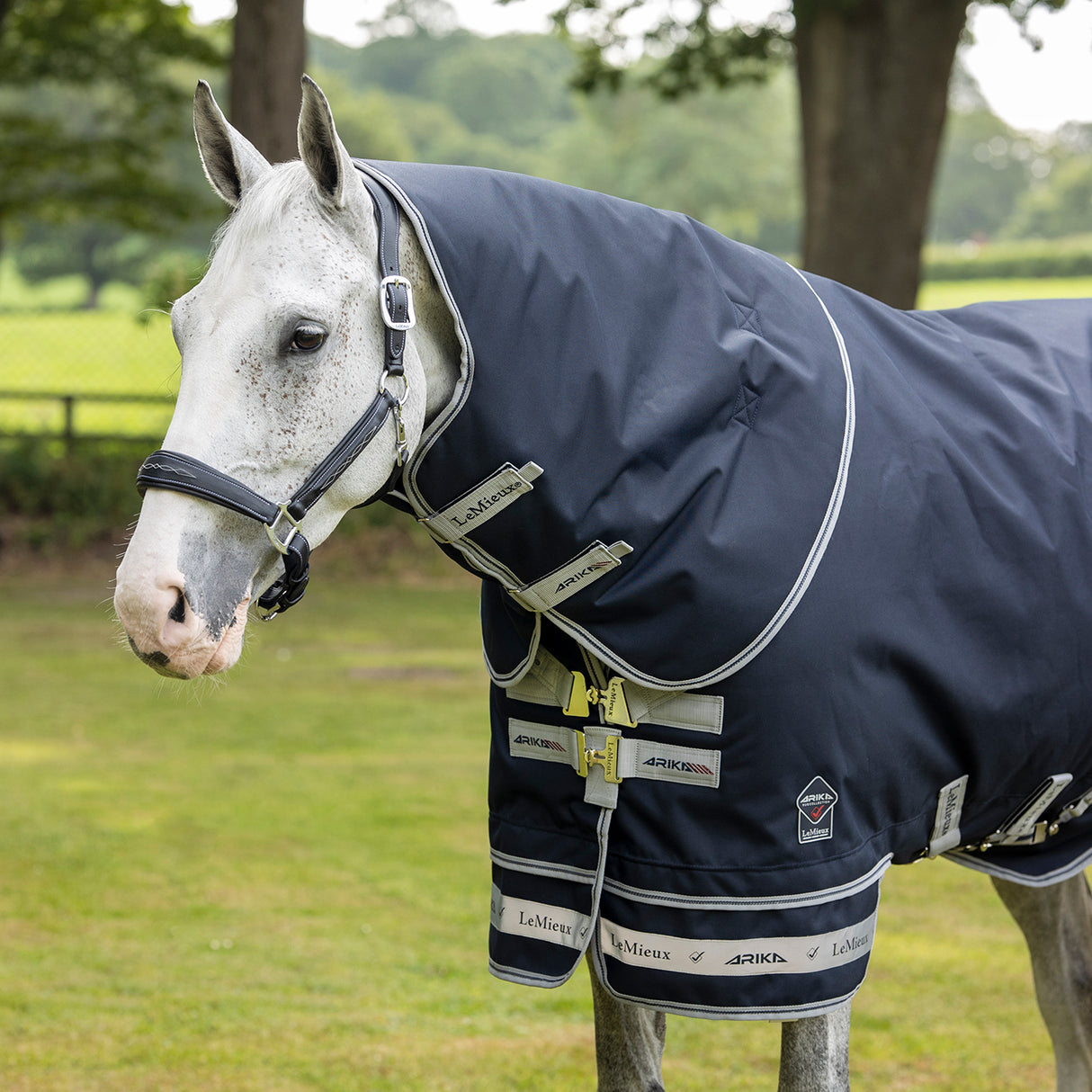 LeMieux Arika Featherweight Hood 0 g