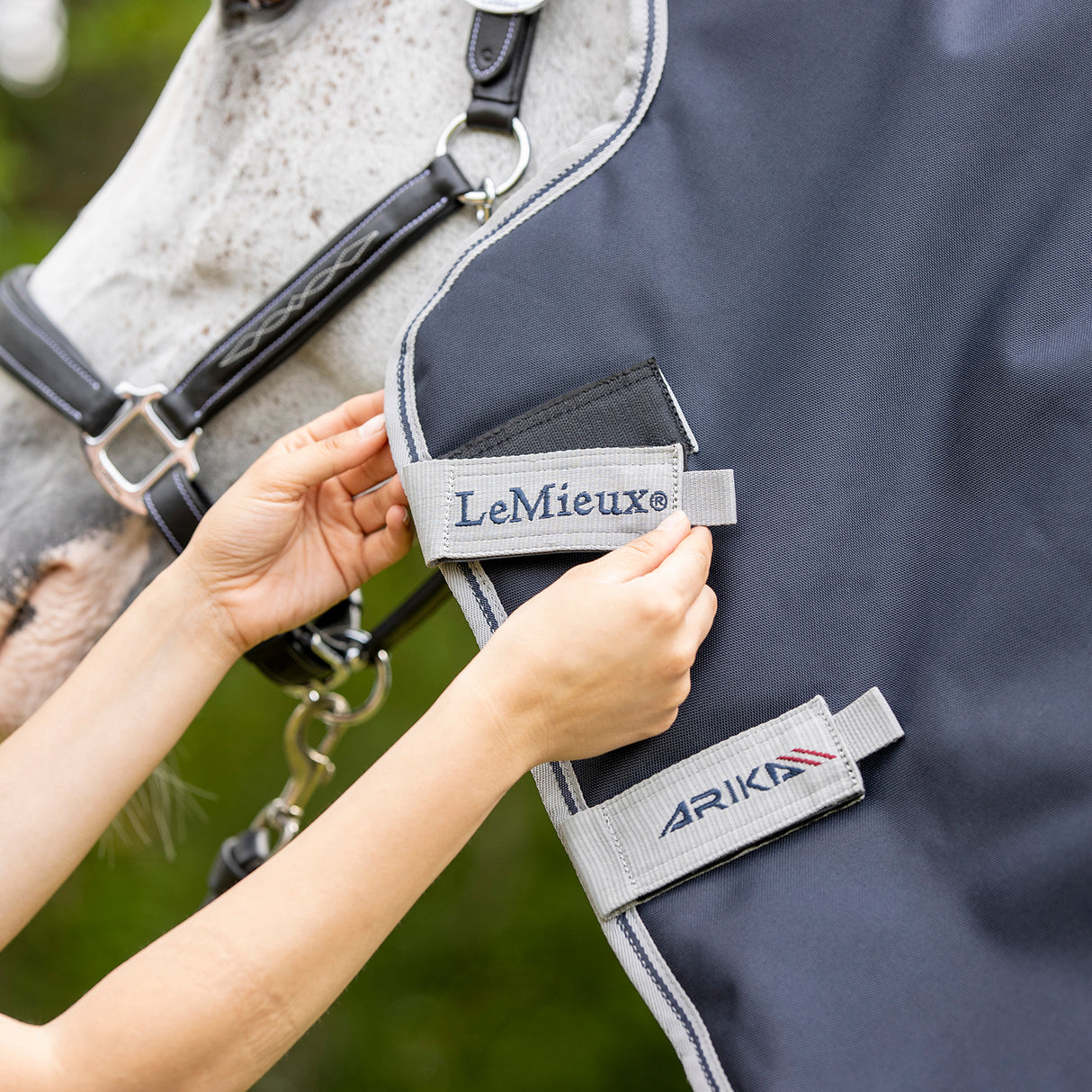 LeMieux Arika Featherweight Hood 0 g