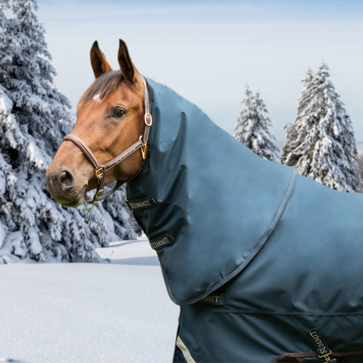 Summit Nova Hood 150 g