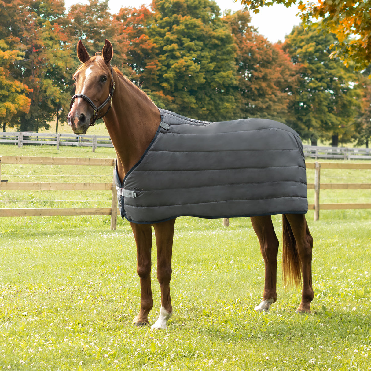 Summit Nova Liner 150 g