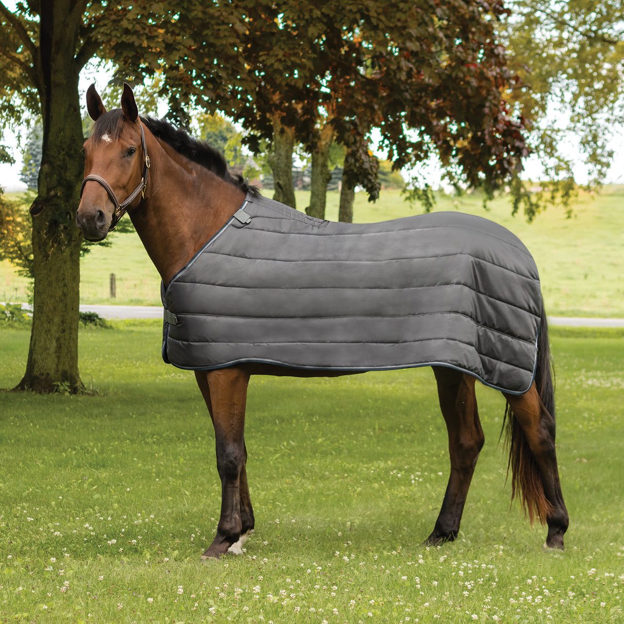 Summit Nova Liner 300 g