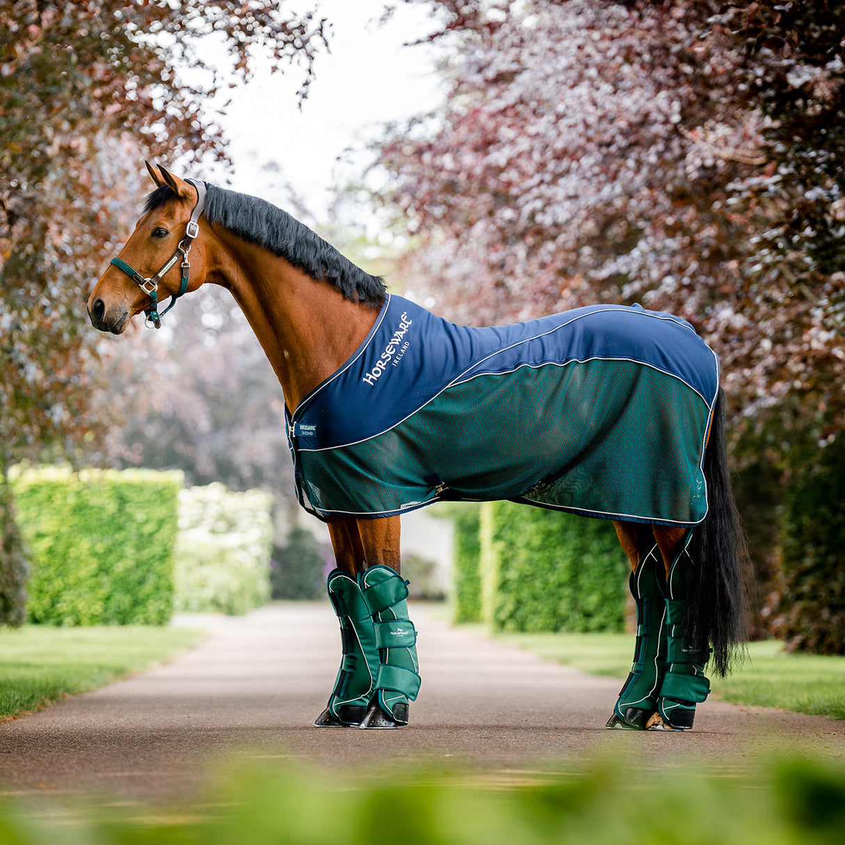 Horseware Signature Travel Boots